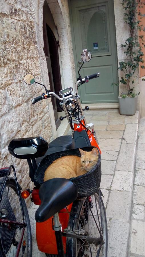 Bunari Studio Apartment Rovinj Eksteriør bilde