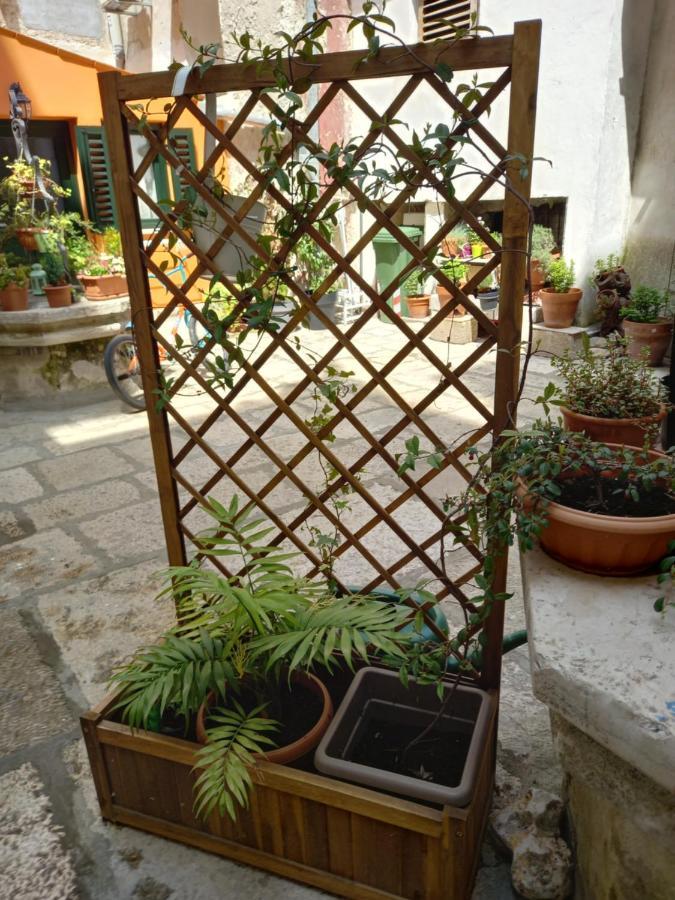 Bunari Studio Apartment Rovinj Eksteriør bilde